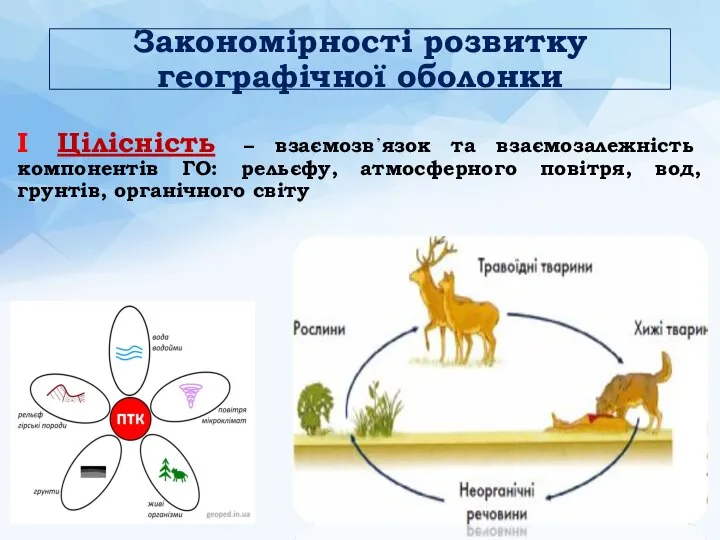 Закономірності розвитку географічної оболонки І Цілісність – взаємозв᾽язок та взаємозалежність компонентів ГО: