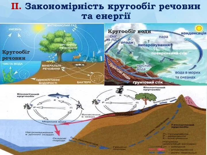 Кругообіг речовин Кругообіг води ІІ. Закономірність кругообіг речовин та енергії