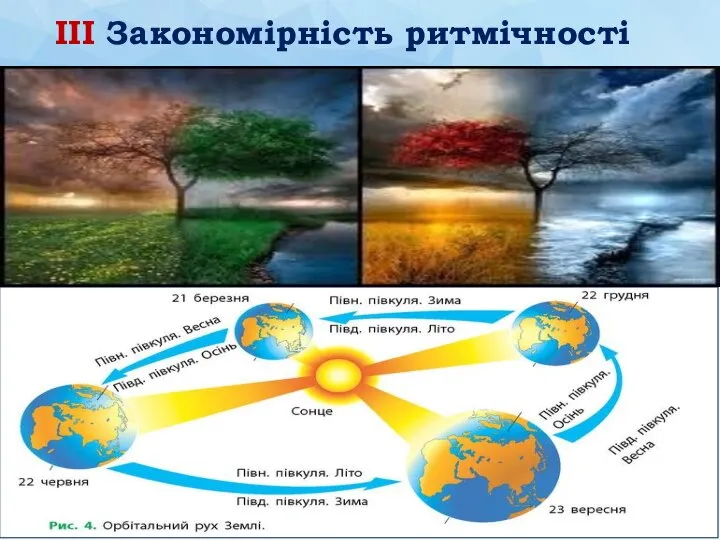 ІІІ Закономірність ритмічності