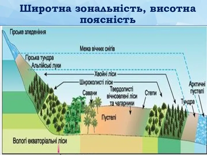 Широтна зональність, висотна поясність