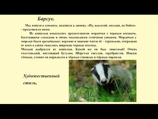 Барсук. Мы вошли в комнату, подошли к дивану. «Ну, вылезай, малыш, не