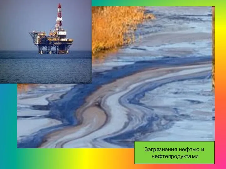 Загрязнения нефтью и нефтепродуктами