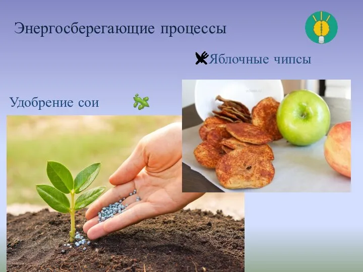 Яблочные чипсы Удобрение сои Энергосберегающие процессы