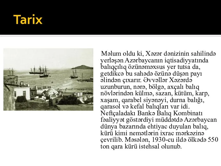 Tarix Məlum oldu ki, Xəzər dənizinin sahilində yerləşən Azərbaycanın iqtisadiyyatında balıqçılıq özünəməxsus