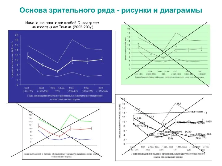 Основа зрительного ряда - рисунки и диаграммы Изменение плотности особей G. conopsea на известняках Тимана (2002-2007)