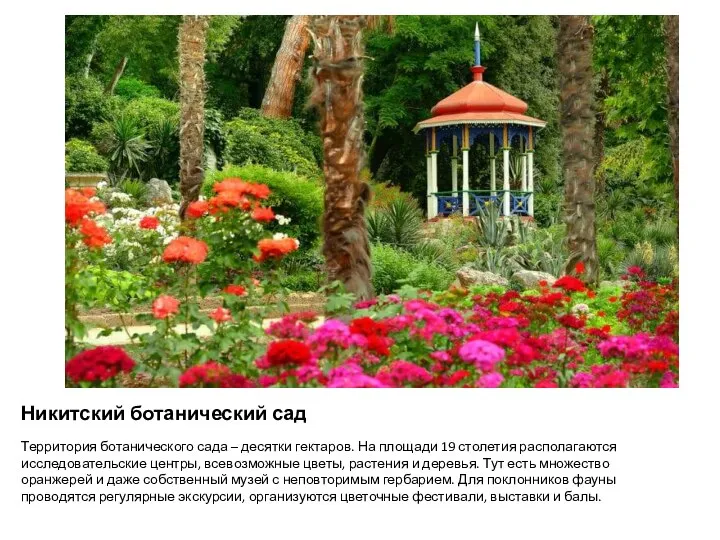 Никитский ботанический сад Территория ботанического сада – десятки гектаров. На площади 19