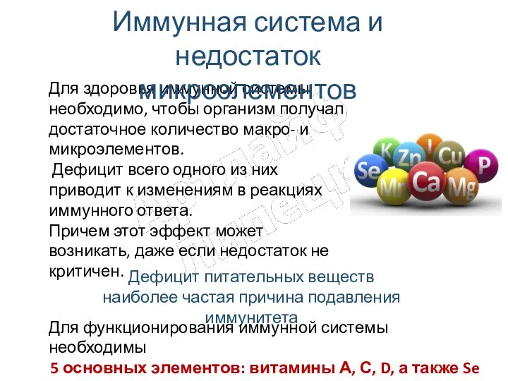 Для здоровья иммунной системы необходимо, чтобы организм получал достаточное количество макро- и