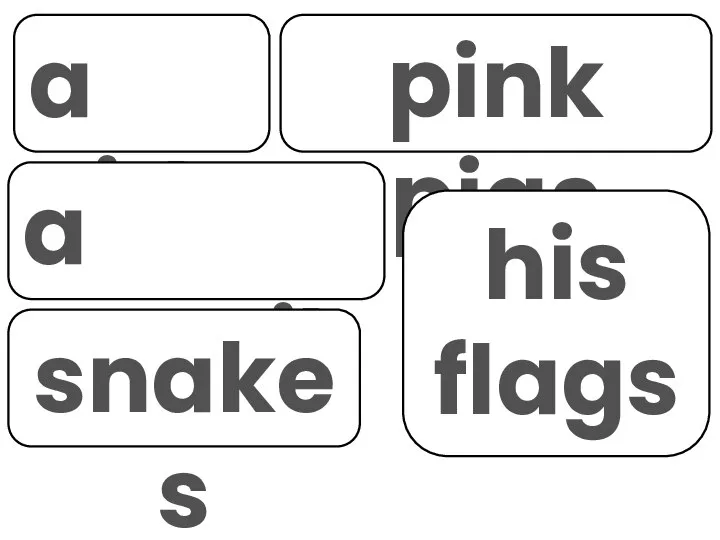 a girl a pencil pink pigs snakes his flags