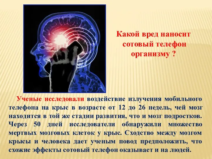 Ученые исследовали воздействие излучения мобильного телефона на крыс в возрасте от 12