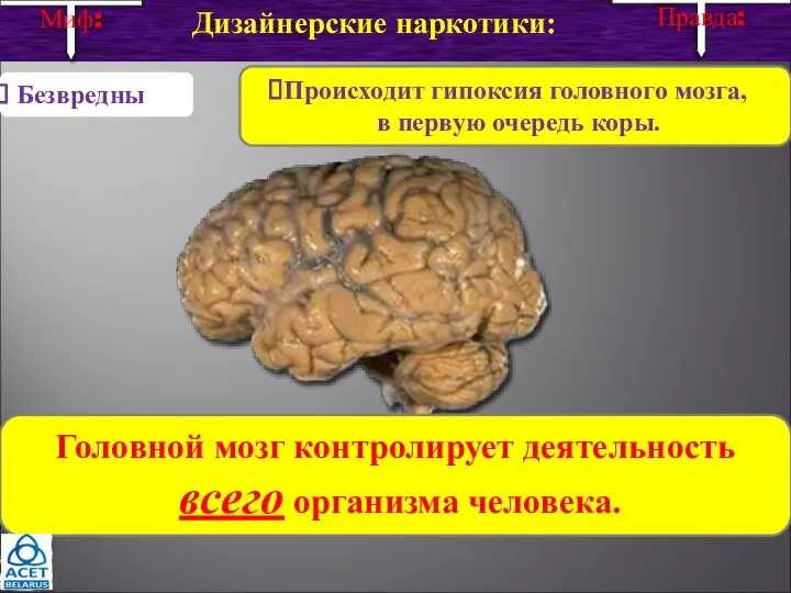 Дизайнерские наркотики: Происходит гипоксия головного мозга, в первую очередь коры. Безвредны Миф: