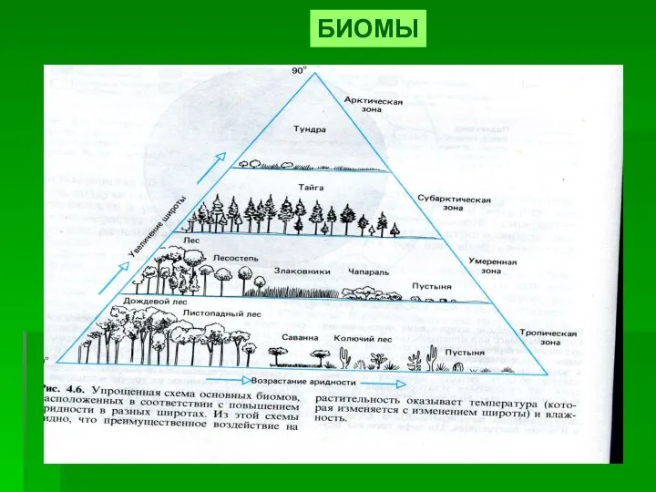 БИОМЫ