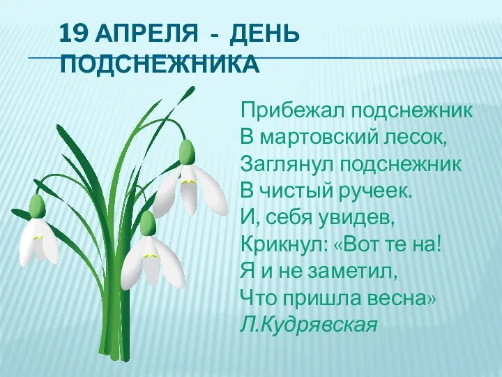 19 АПРЕЛЯ - ДЕНЬ ПОДСНЕЖНИКА Прибежал подснежник В мартовский лесок, Заглянул подснежник