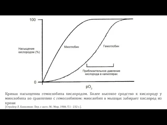 Кривая насыщения гемоглобина кислородом. Более высокое сродство к кислороду у миоглобина по