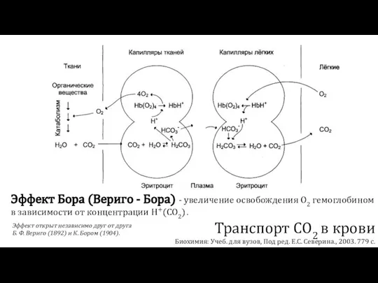 Транспорт СО2 в крови Биохимия: Учеб. для вузов, Под ред. Е.С. Северина.,