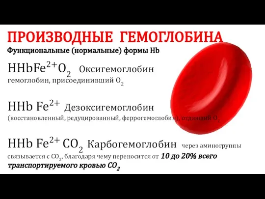 ПРОИЗВОДНЫЕ ГЕМОГЛОБИНА Функциональные (нормальные) формы Hb ННbFe2+О2 Оксигемоглобин гемоглобин, присоединивший О2 ННb