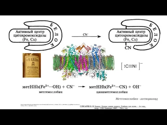 https://upload.wikimedia.org/wikipedia/commons/thumb/a/ab/Cytochrome_C_Oxidase_1OCC_in_Membrane_2.png/800px-Cytochrome_C_Oxidase_1OCC_in_Membrane_2.png Метгемоглобин - антицианид