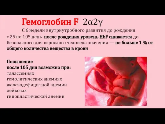 Гемоглобин F 2α2γ C 6 недели внутриутробного развития до рождения с 25