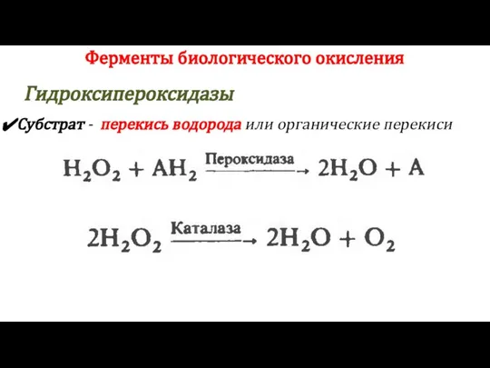 Субстрат - перекись водорода или органические перекиси Ферменты биологического окисления Гидроксипероксидазы