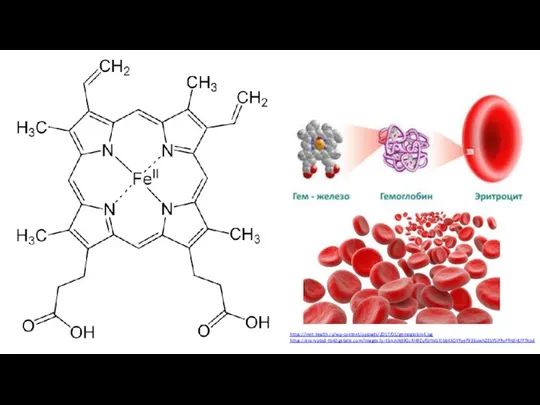 https://inet-health.ru/wp-content/uploads/2017/01/gemoglobin4.jpg https://encrypted-tbn0.gstatic.com/images?q=tbn:ANd9GcRH9ZufGrYxGYJbbXXDYFqeF936uwhZESYSiFRyPfHdHLfF7Xod