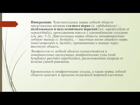 Иннервация. Чувствительные нервы лобной области представлены ветвями глазного нерва (п. ophthalmicus) —