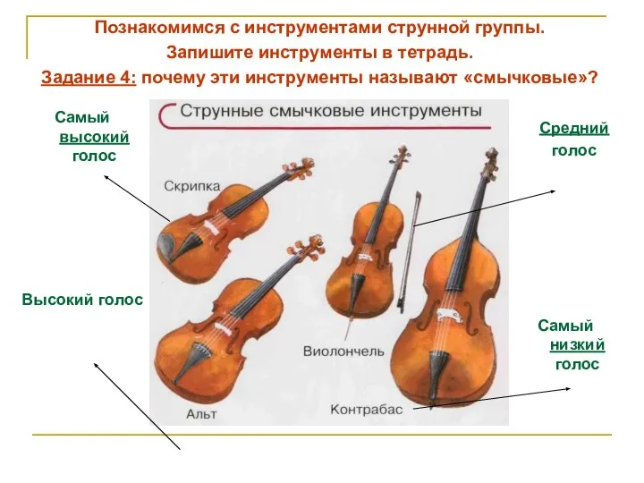 Познакомимся с инструментами струнной группы. Запишите инструменты в тетрадь. Задание 4: почему