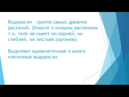 Водоросли – группа самых древних растений. Относят к низшим растениям т.к. тело