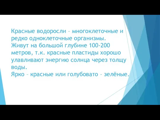 Красные водоросли – многоклеточные и редко одноклеточные организмы. Живут на большой глубине