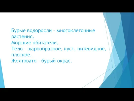 Бурые водоросли – многоклеточные растения. Морские обитатели. Тело – шарообразное, куст, нитевидное,