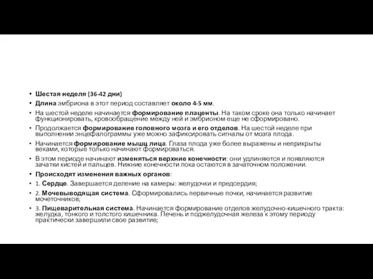 Шестая неделя (36-42 дни) Длина эмбриона в этот период составляет около 4-5