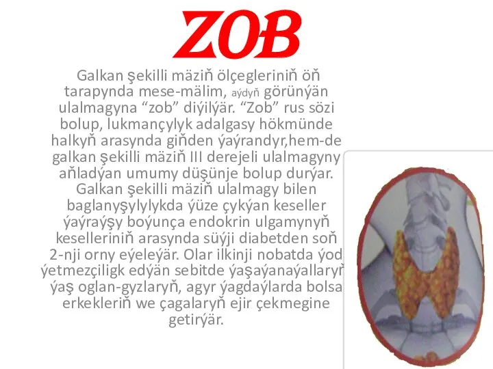 ZOB Galkan şekilli mäziň ölçegleriniň öň tarapynda mese-mälim, aýdyň görünýän ulalmagyna “zob”