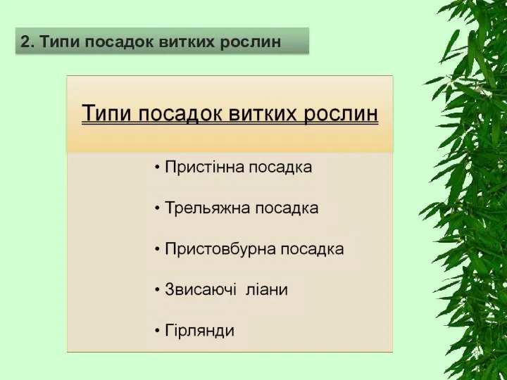 2. Типи посадок витких рослин