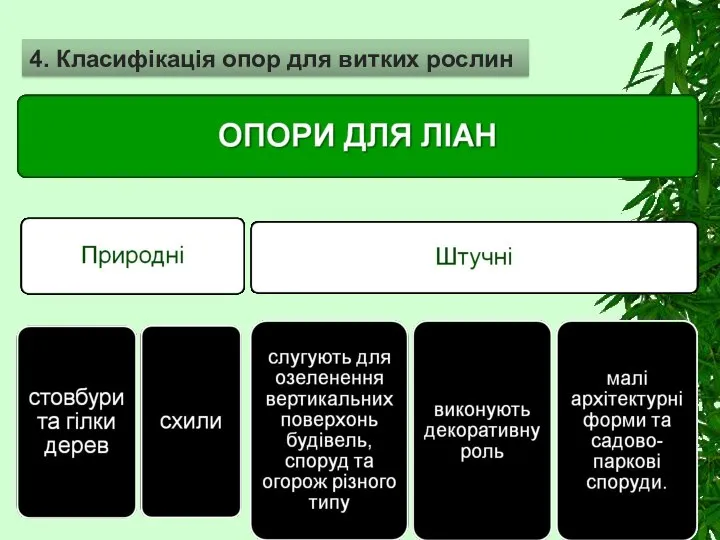 4. Класифікація опор для витких рослин