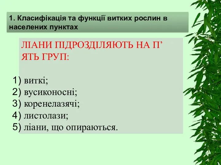 ЛІАНИ ПІДРОЗДІЛЯЮТЬ НА П’ЯТЬ ГРУП: виткі; вусиконосні; коренелазячі; листолази; ліани, що опираються.