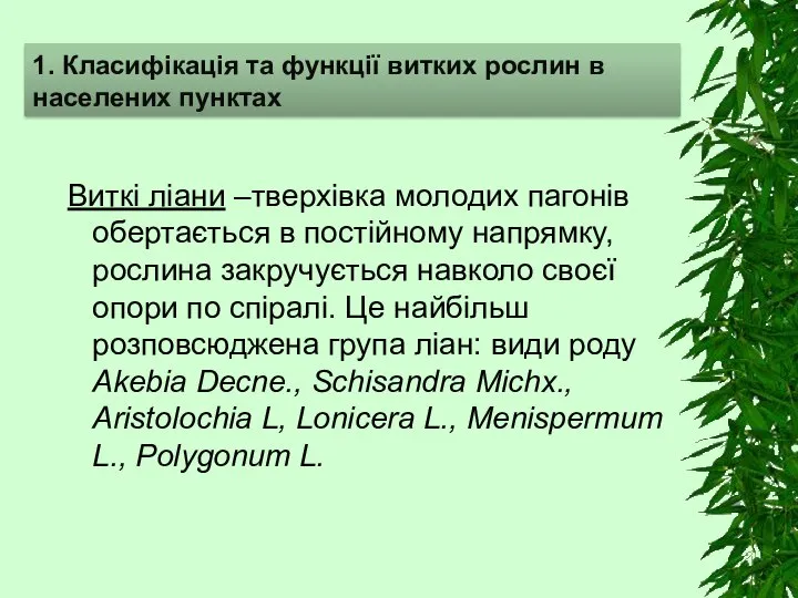 Виткі ліани –тверхівка молодих пагонів обертається в постійному напрямку, рослина закручується навколо