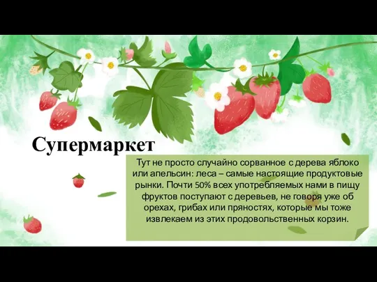 Супермаркет Тут не просто случайно сорванное с дерева яблоко или апельсин: леса