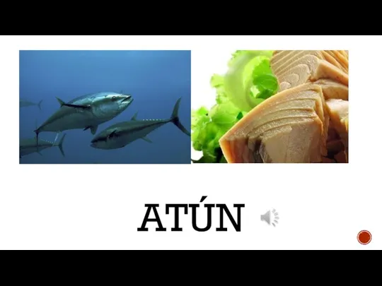 ATÚN