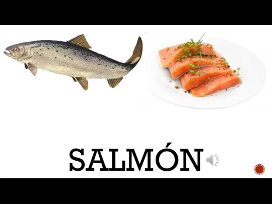 SALMÓN