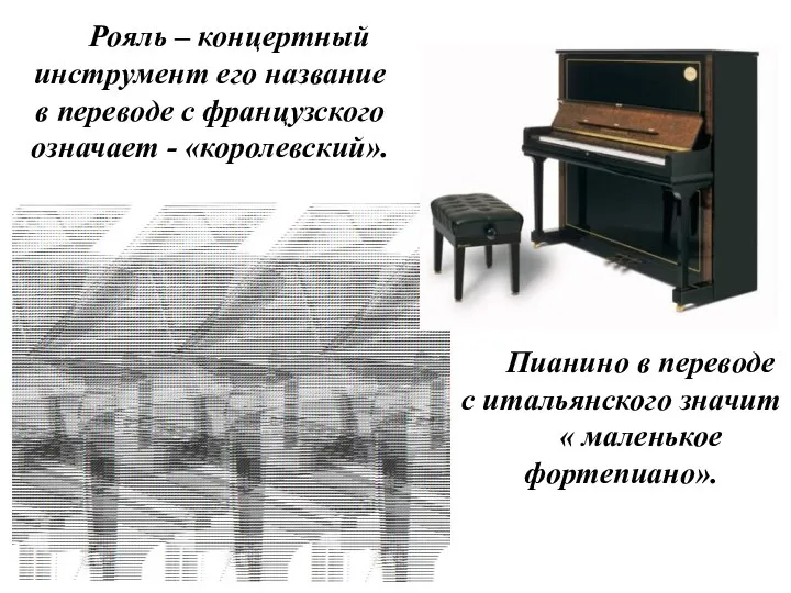 Рояль – концертный инструмент его название в переводе с французского означает -