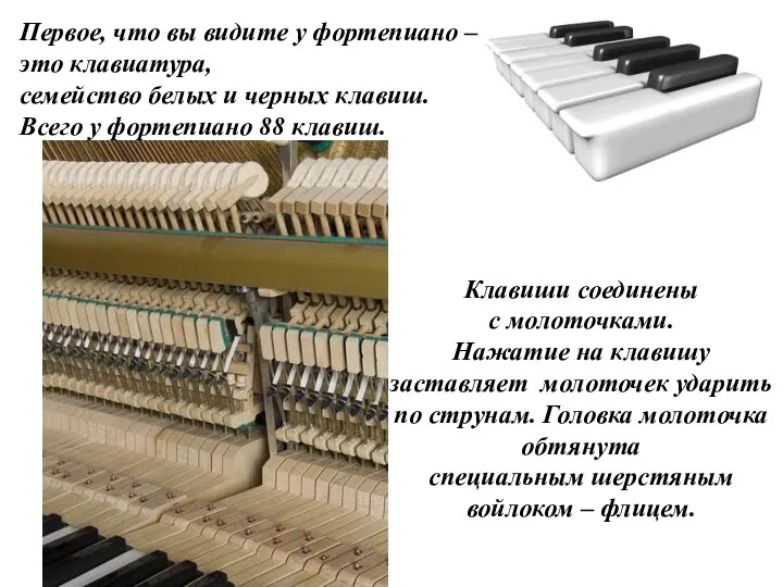 Первое, что вы видите у фортепиано – это клавиатура, семейство белых и
