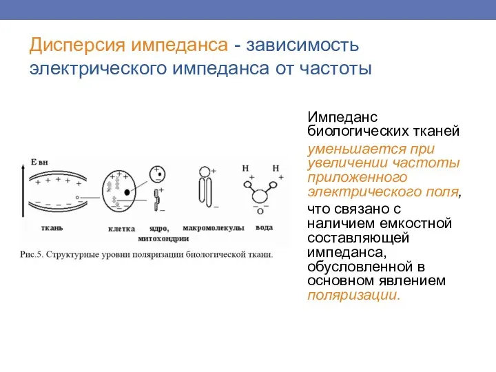 Дисперсия импеданса - зависимость электрического импеданса от частоты Импеданс биологических тканей уменьшается