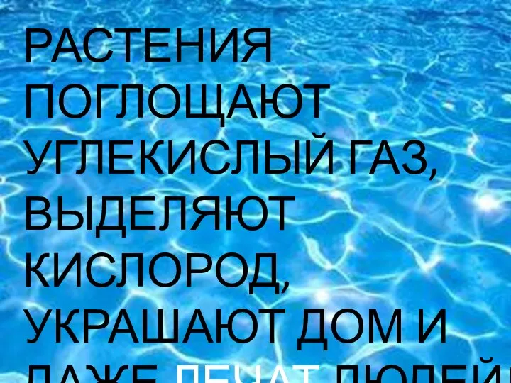 ЧТО РАСТЕНИЯ ПОГЛОЩАЮТ УГЛЕКИСЛЫЙ ГАЗ, ВЫДЕЛЯЮТ КИСЛОРОД, УКРАШАЮТ ДОМ И ДАЖЕ ЛЕЧАТ ЛЮДЕЙ!