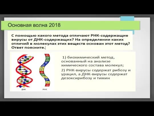 Основная волна 2018