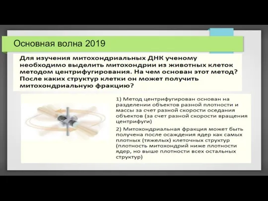 Основная волна 2019