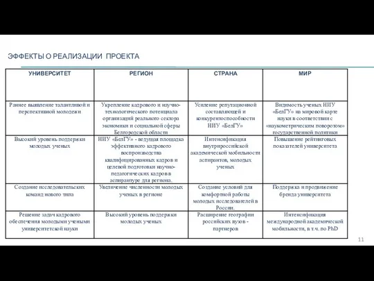 ЭФФЕКТЫ О РЕАЛИЗАЦИИ ПРОЕКТА