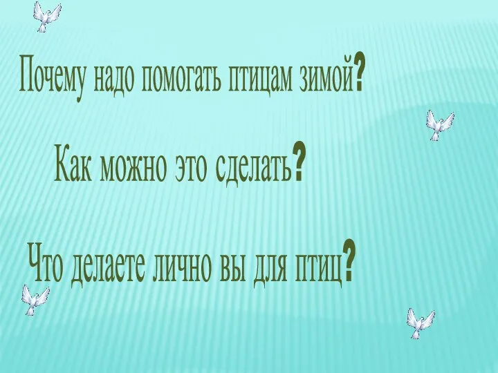 Почему надо помогать птицам зимой? Как можно это сделать? Что делаете лично вы для птиц?