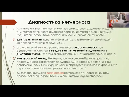 Диагностика неглериоза Клиническая диагностика неглериоза затруднена вследствие сходства симптомов первичного амебного поражения