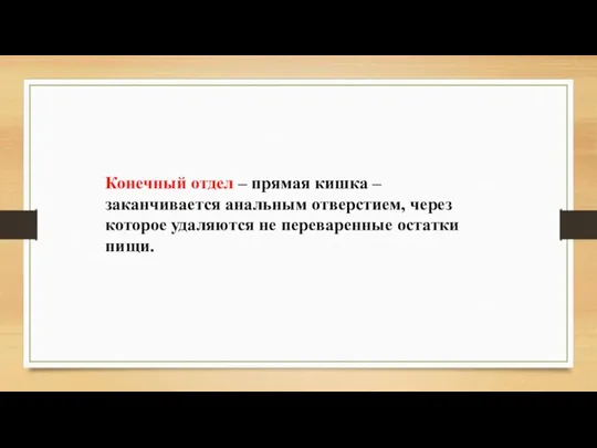 Конечный отдел – прямая кишка – заканчивается анальным отверстием, через которое удаляются не переваренные остатки пищи.