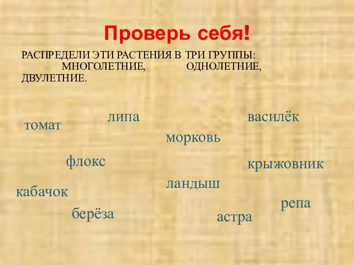 Проверь себя! РАСПРЕДЕЛИ ЭТИ РАСТЕНИЯ В ТРИ ГРУППЫ: МНОГОЛЕТНИЕ, ОДНОЛЕТНИЕ, ДВУЛЕТНИЕ. томат