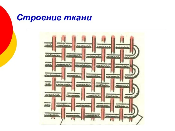 Строение ткани