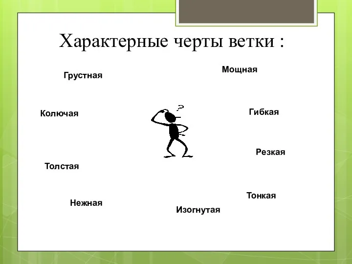 Характерные черты ветки : Грустная Мощная Колючая Гибкая Толстая Тонкая Нежная Резкая Изогнутая